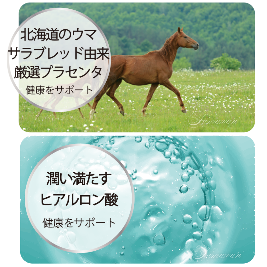 【正規品】メルスモン プラセンタ プラチナ リキッド メルスモン プラセンタ (プラチナ) 液体 10ml×30本 賞味期限は2027年01月